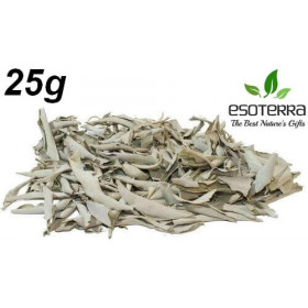Sauge Blanche Californie ESOTERRA Feuilles 25g ( livraison offerte)