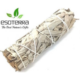 Sauge Blanche Apiana Californie Ficelle 11cm 25-30g ( livraison offerte)